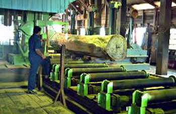 Historical Image of Chatham Saw Mill
